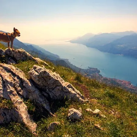 酒店 Buena Onda 3*